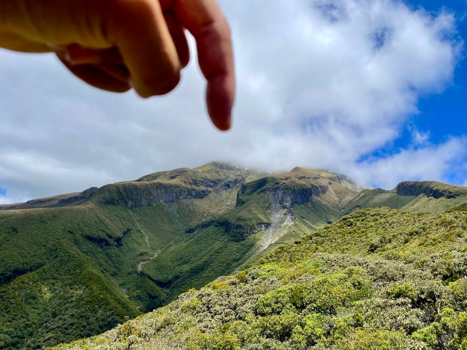 Neuseeland - Egmont National Park - 