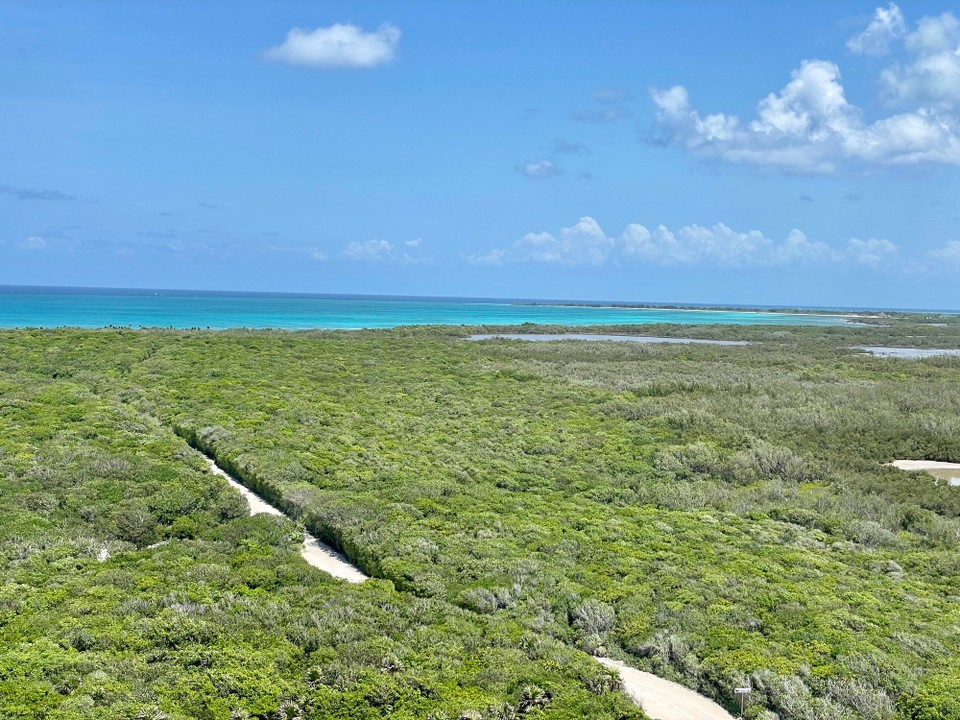 Mexiko - Cozumel - 