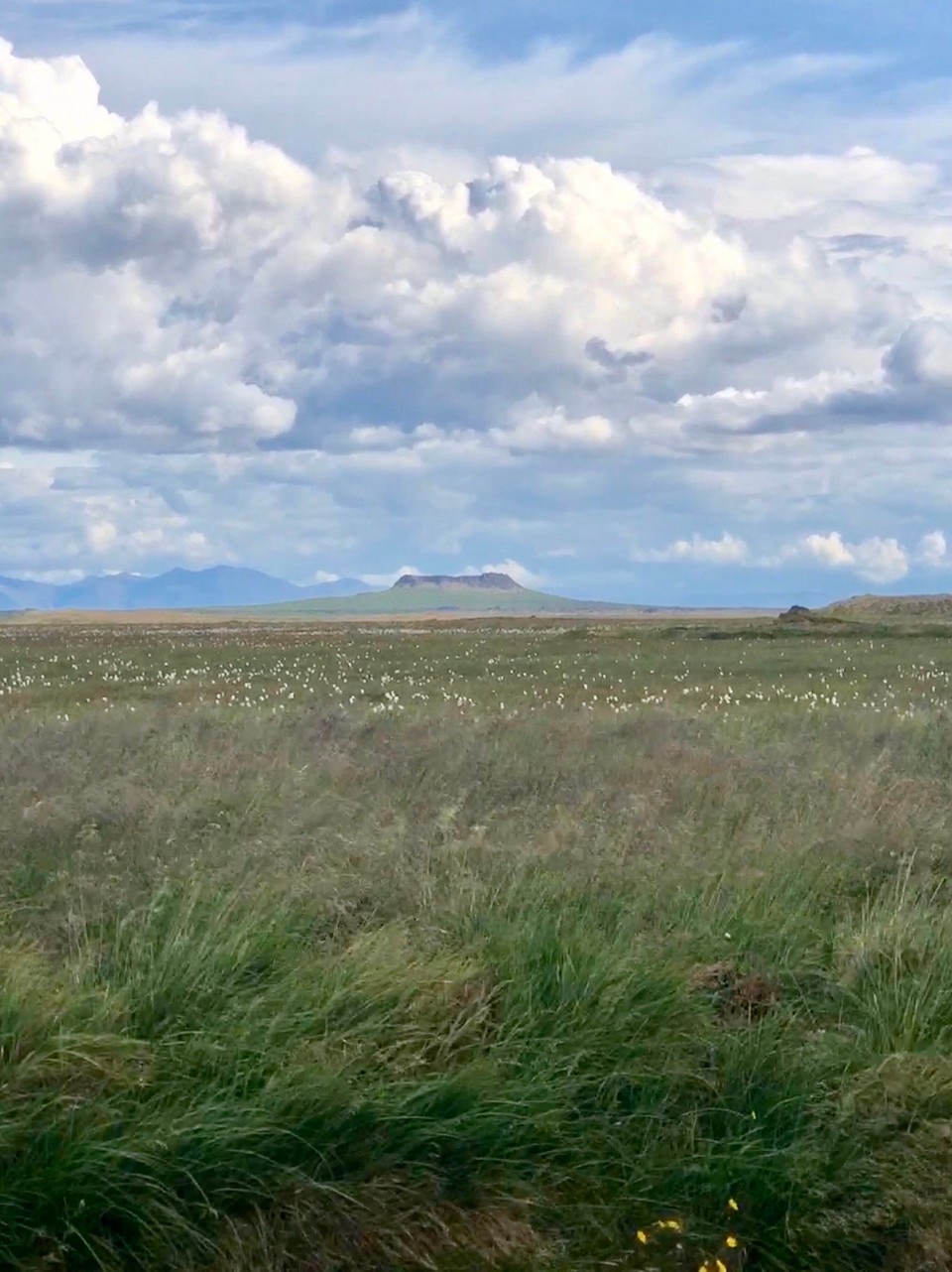 Island - Eyja- og Miklaholtshreppur - Schöner Blick. In alle Richtungen...