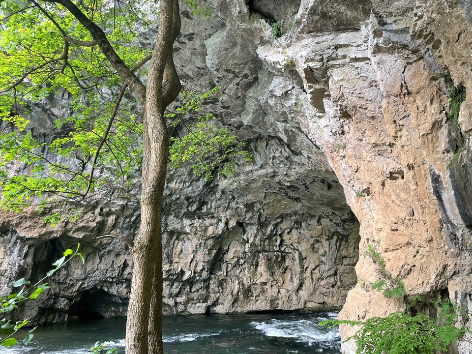 Slowenien - Cerknica - …und direkt von unten 