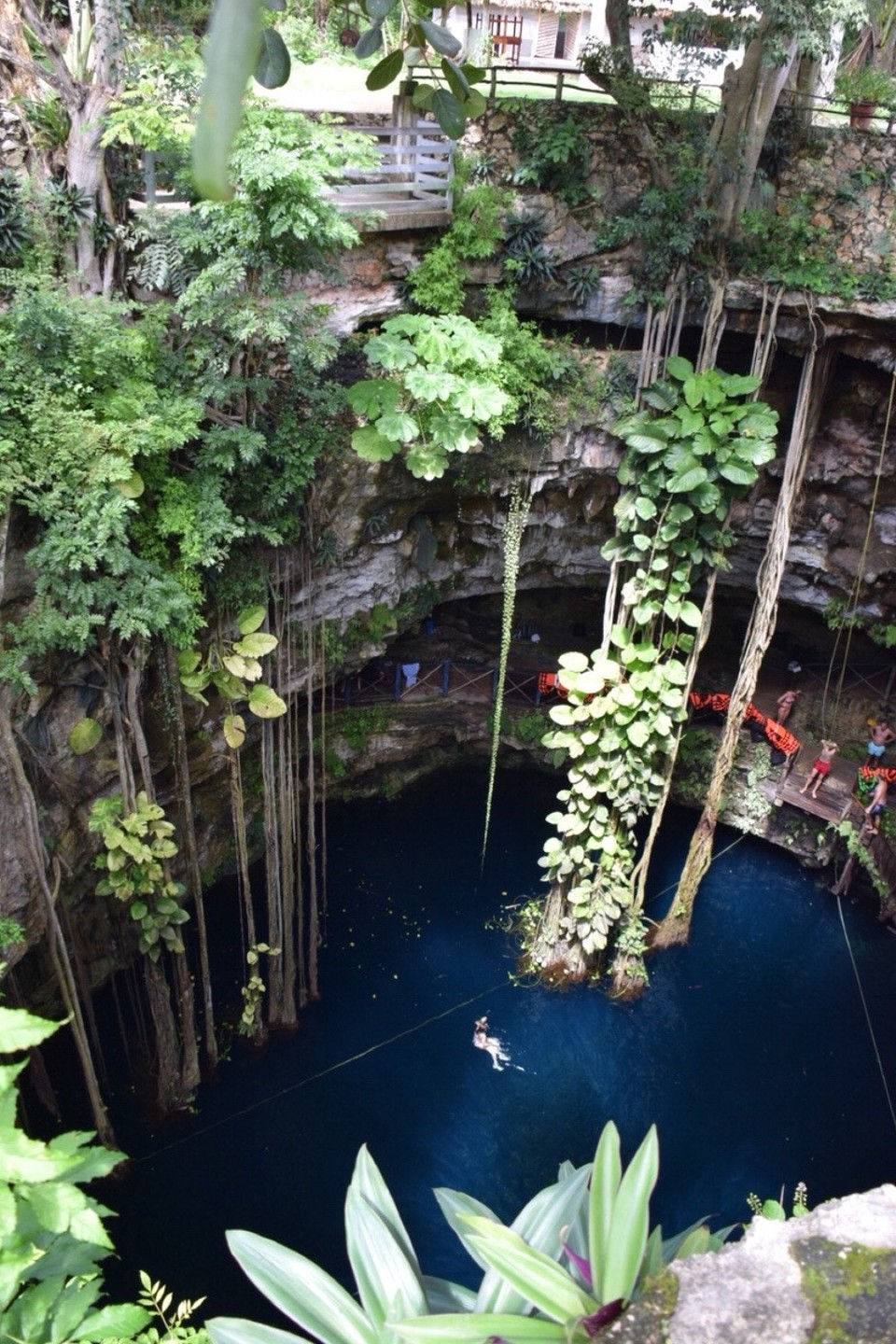 Mexiko - Valladolid - Cenote Oxman