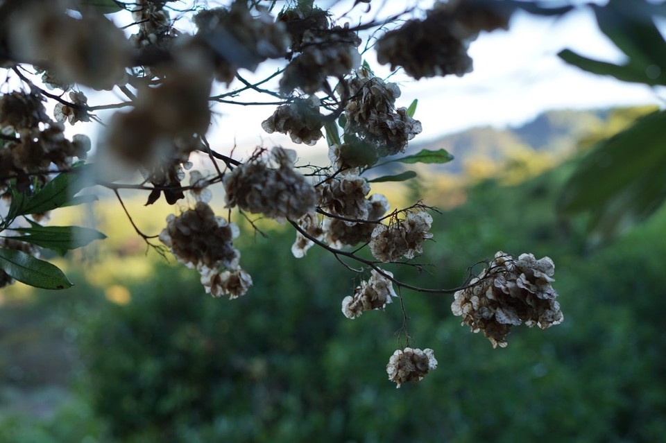 Neuseeland - Takaka - 