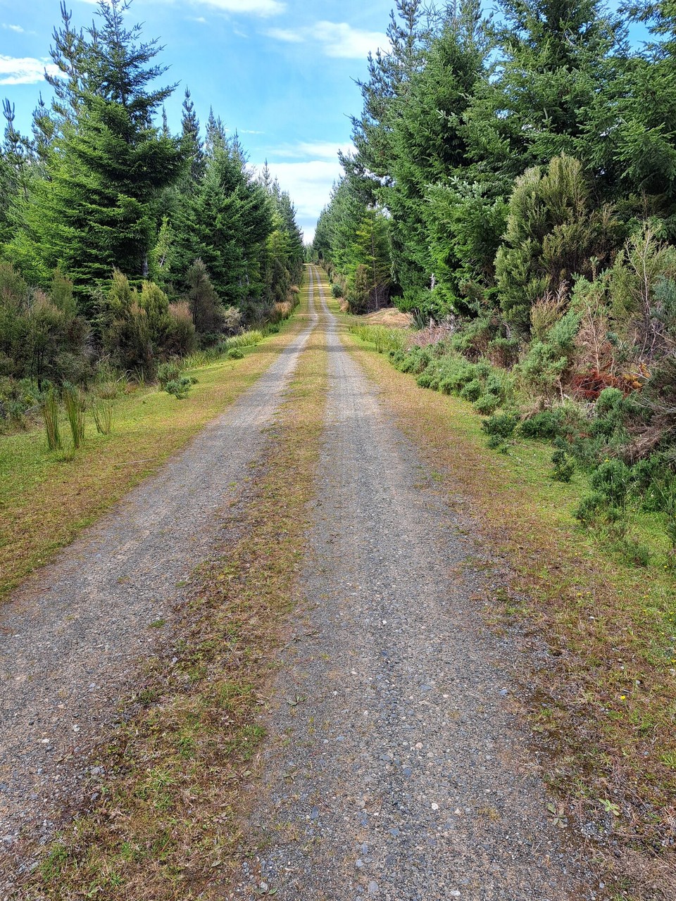 Neuseeland - Otautau - 
