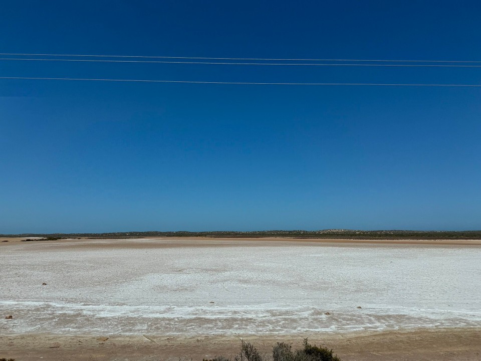 Australien - Denham - Ufm Wäg zum Schnorchelspot gsiamr viel Salzeückständ, vermuatli a ustrochnets Gwässer.🤔