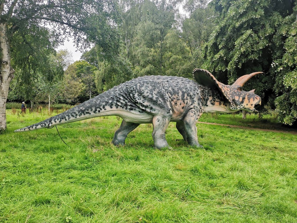 United Kingdom - Cardiff - 