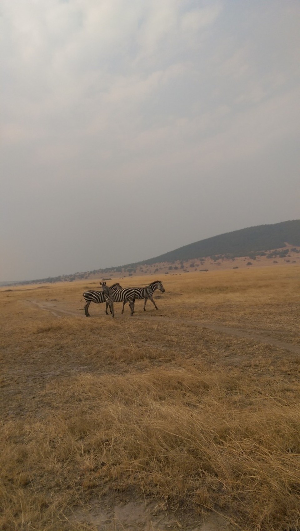 Ruanda - Akagera Village - 
