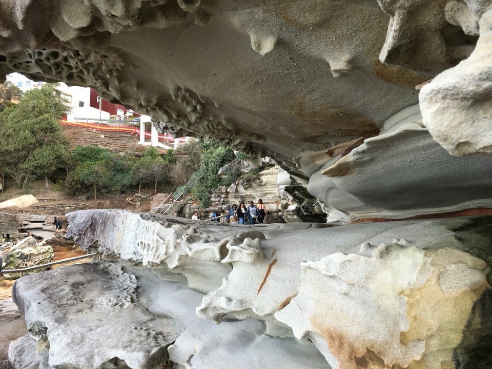 Australia - Sydney - Dann wollten wir eigentlich noch den Costal Walk machen - ist auch eigentlich ganz cool ABER...