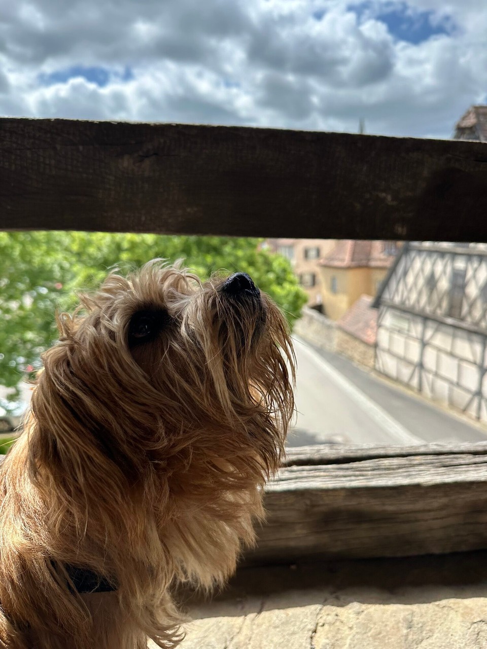 Deutschland - Rothenburg ob der Tauber - 