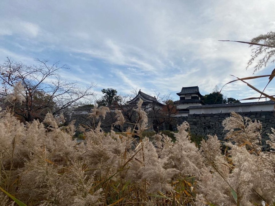 Japan -  - 