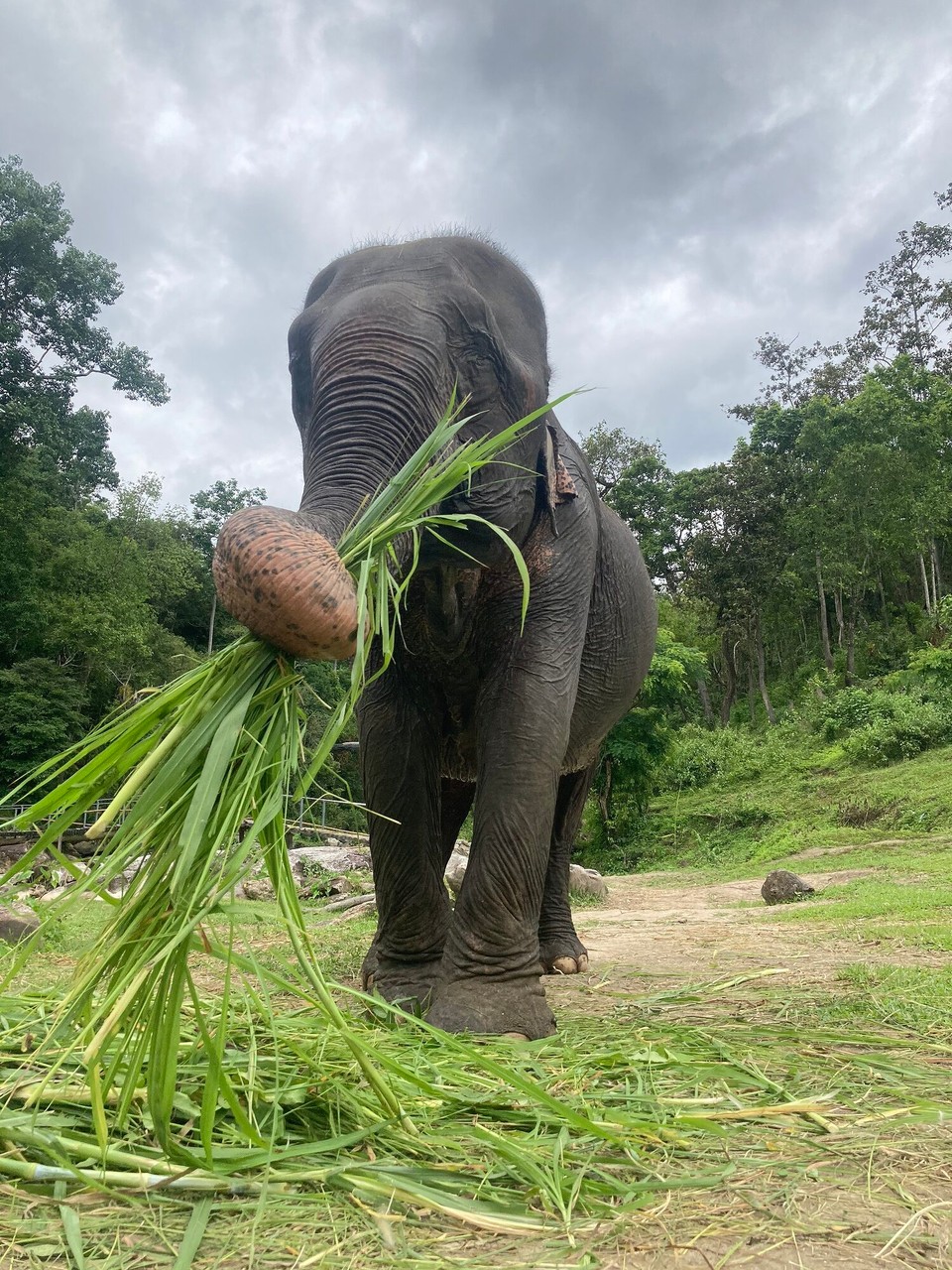 Thailand - Mae Wang - Erst ganz groß…