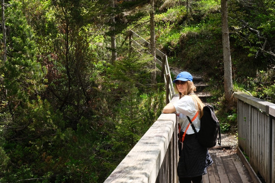 Österreich - Scharnitz - 