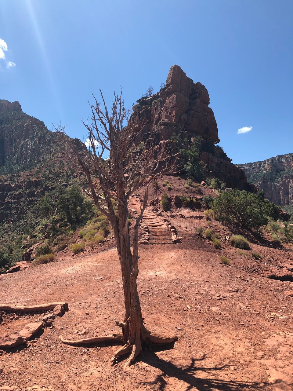 Vereinigte Staaten - Grand Canyon - Am O‘Neill Butte (Felsenspitze) sind wir dann umgedreht. 