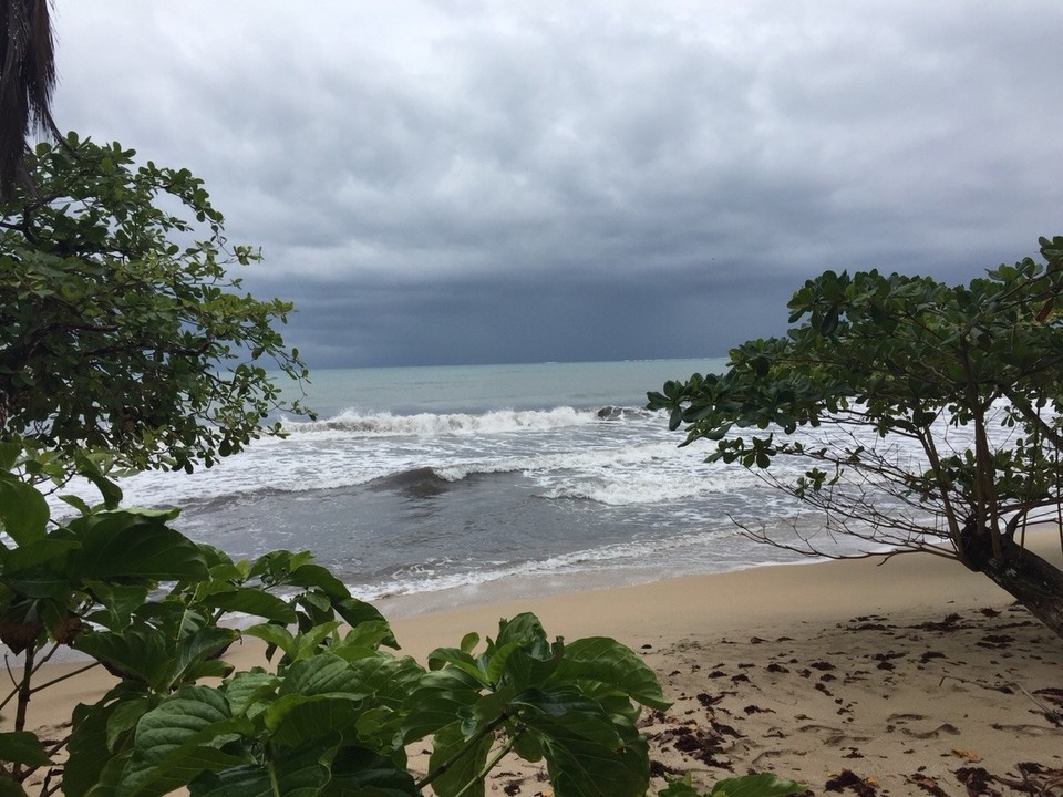 Costa Rica - Talamanca - 