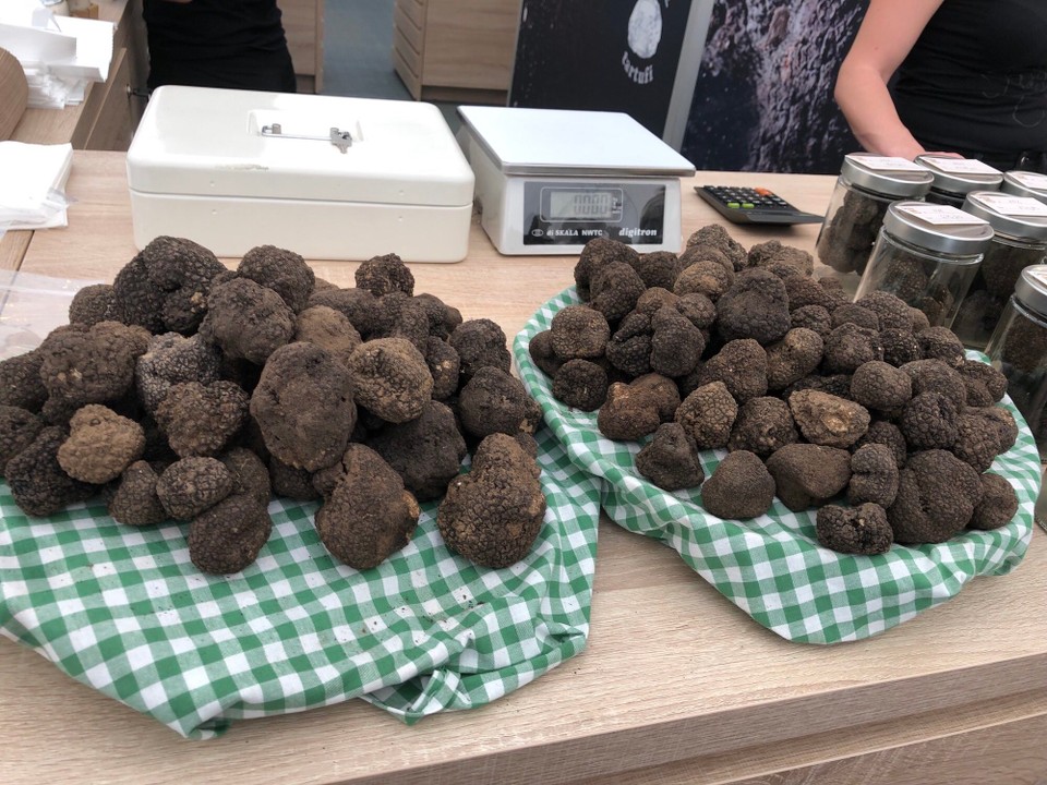 Kroatien - Livade - Schwarze Trüffel 