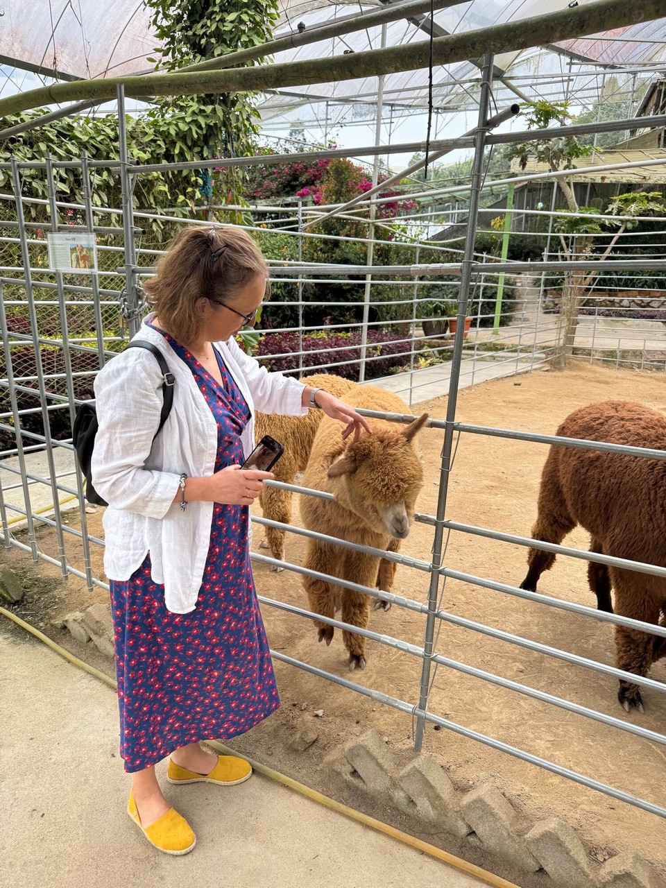 Malaysia - Kuala Lumpur - Katrins Lieblinge