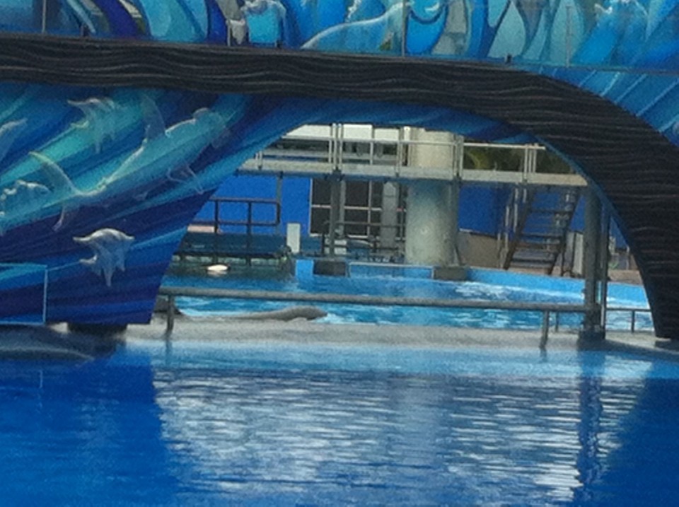 Egyesült Államok - Orlando - 