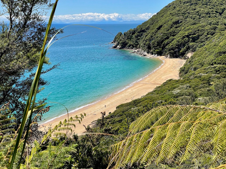 Neuseeland - Abel Tasman National Park - 