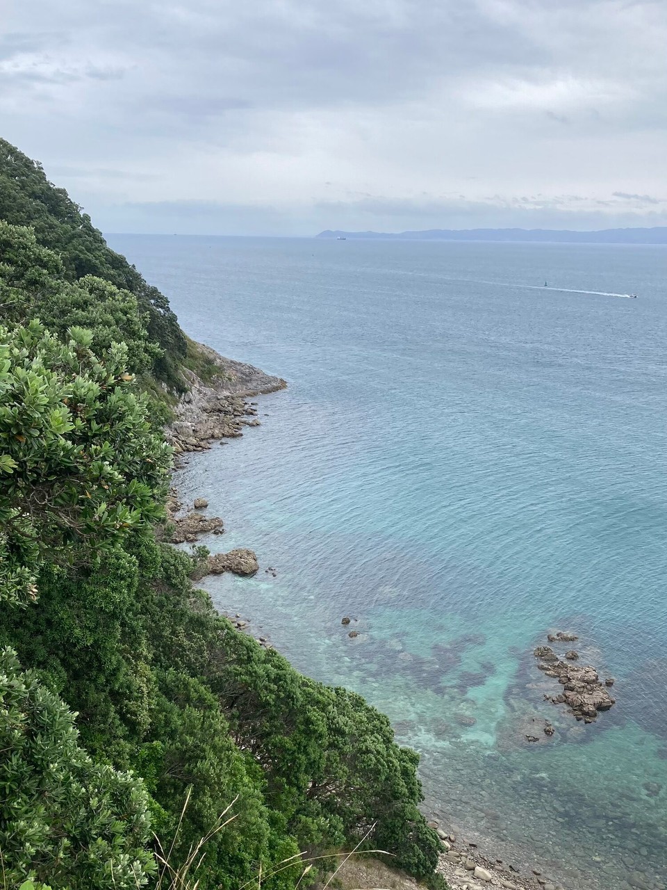 Neuseeland - Whangarei Heads - 
