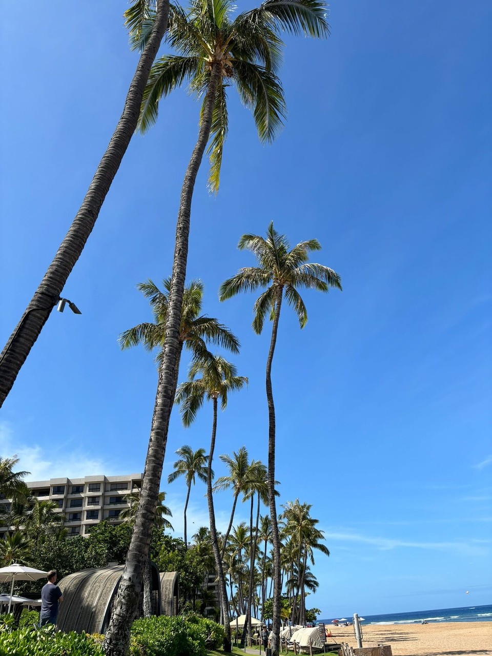 Vereinigte Staaten - Kaanapali - 