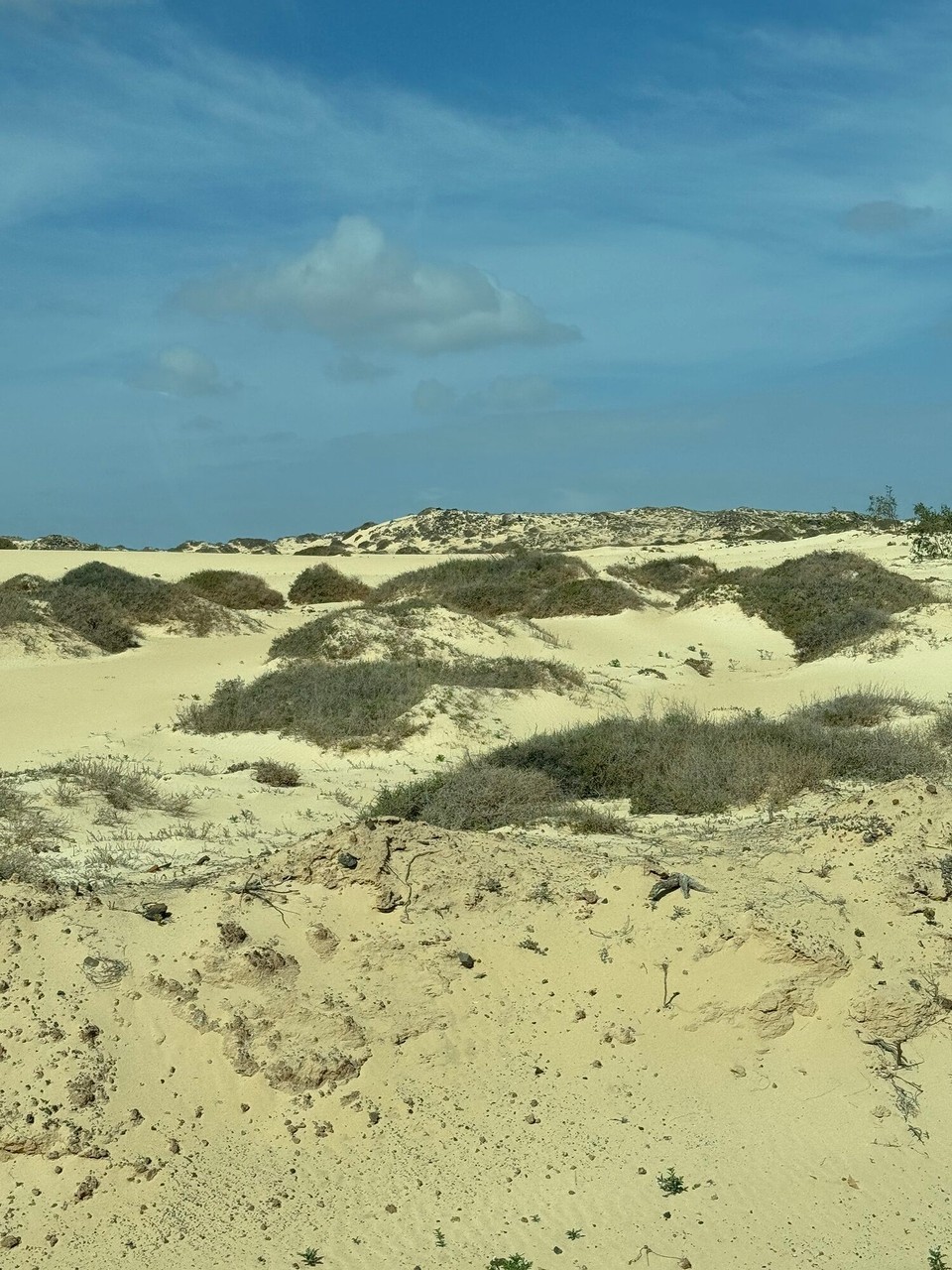 Spanien - Puerto del Rosario - 