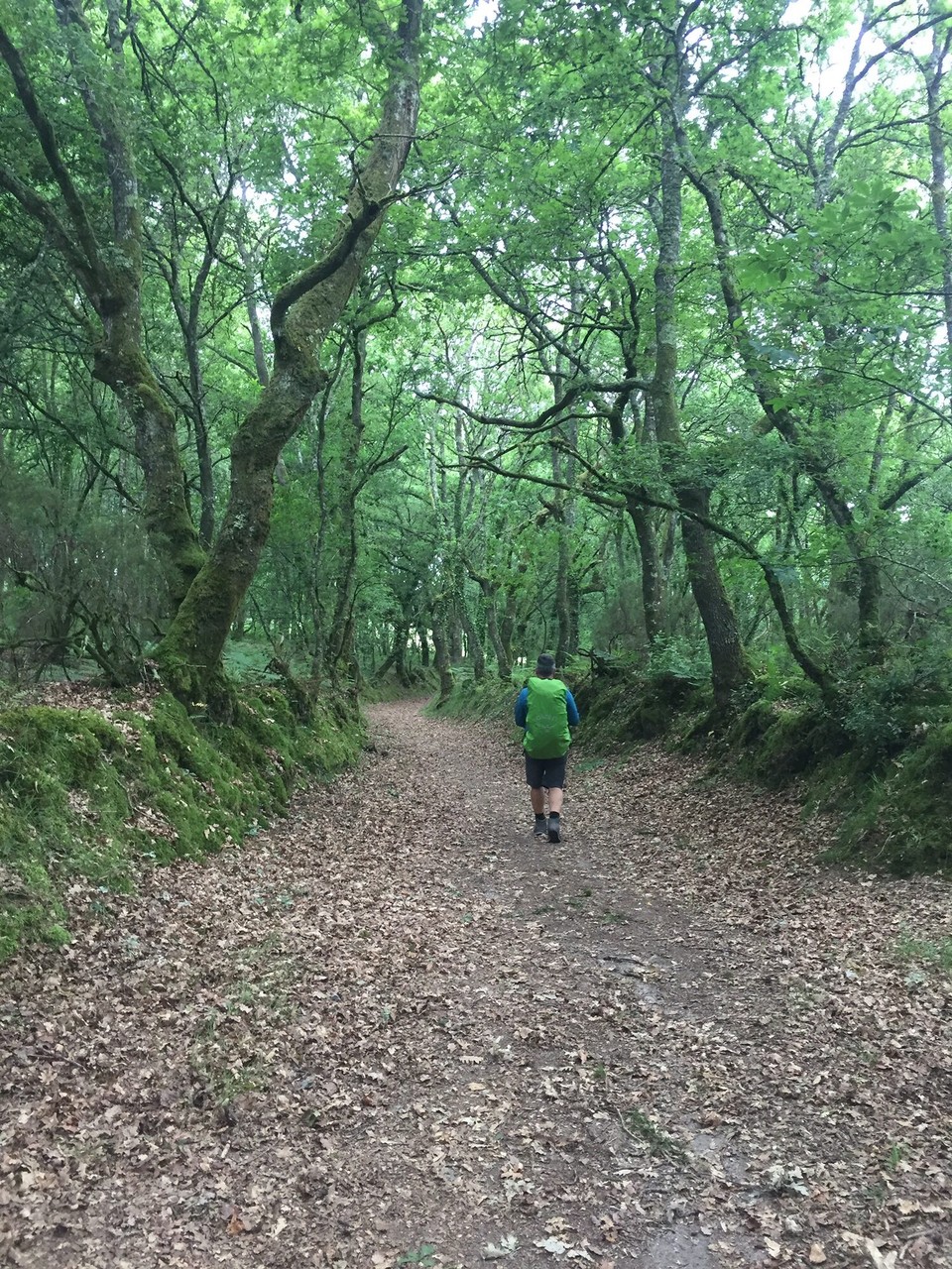 Spanien - Palas de Rei - 