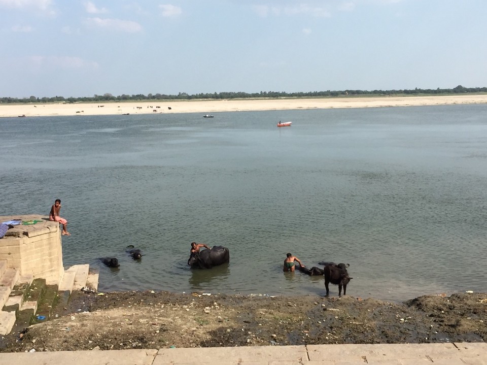 Varanasi - Varanasi - 