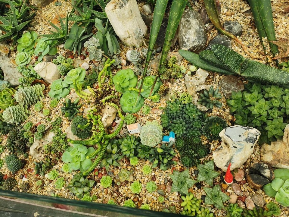 Singapur - Singapur - 