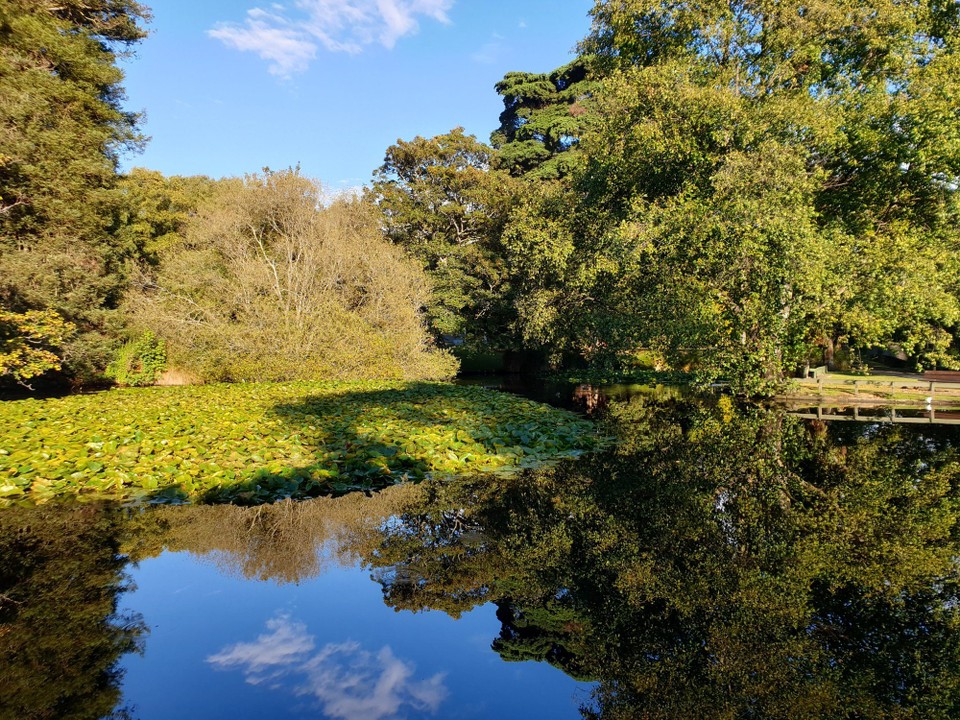 Neuseeland - Oamaru - 