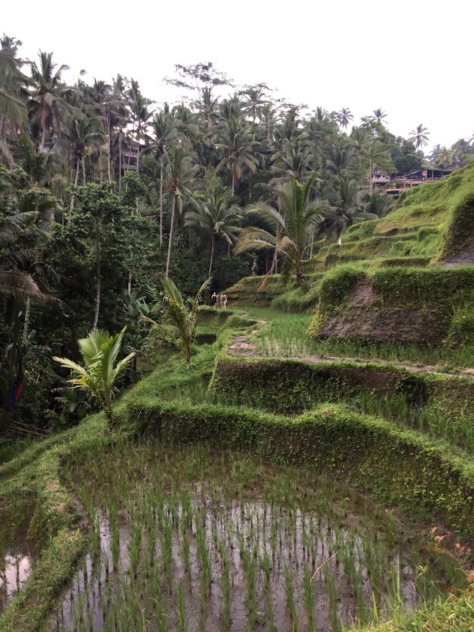 Indonesien - Gianyar - 