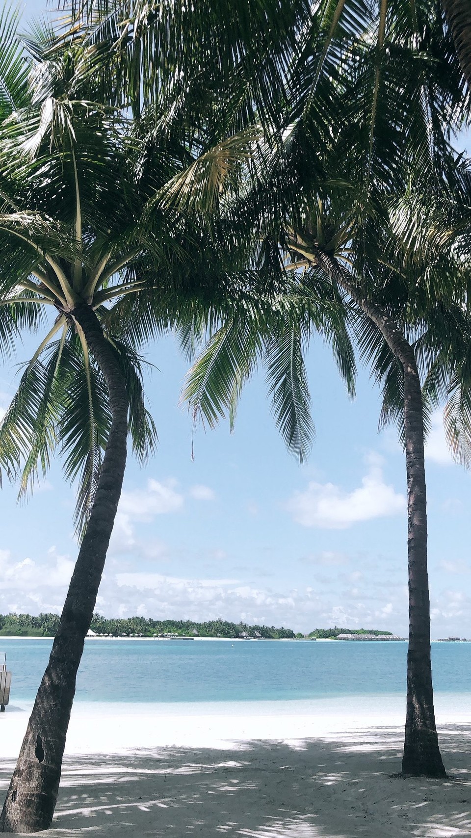 Maldives - Rangali - 