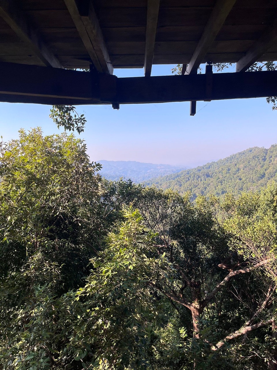 Laos - Huoixai - Toilet and shower view 
