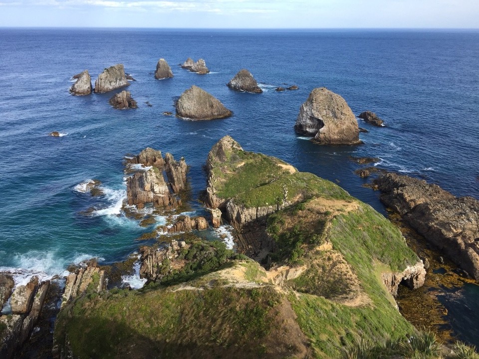 Neuseeland - Kaka Point - Nugget Point