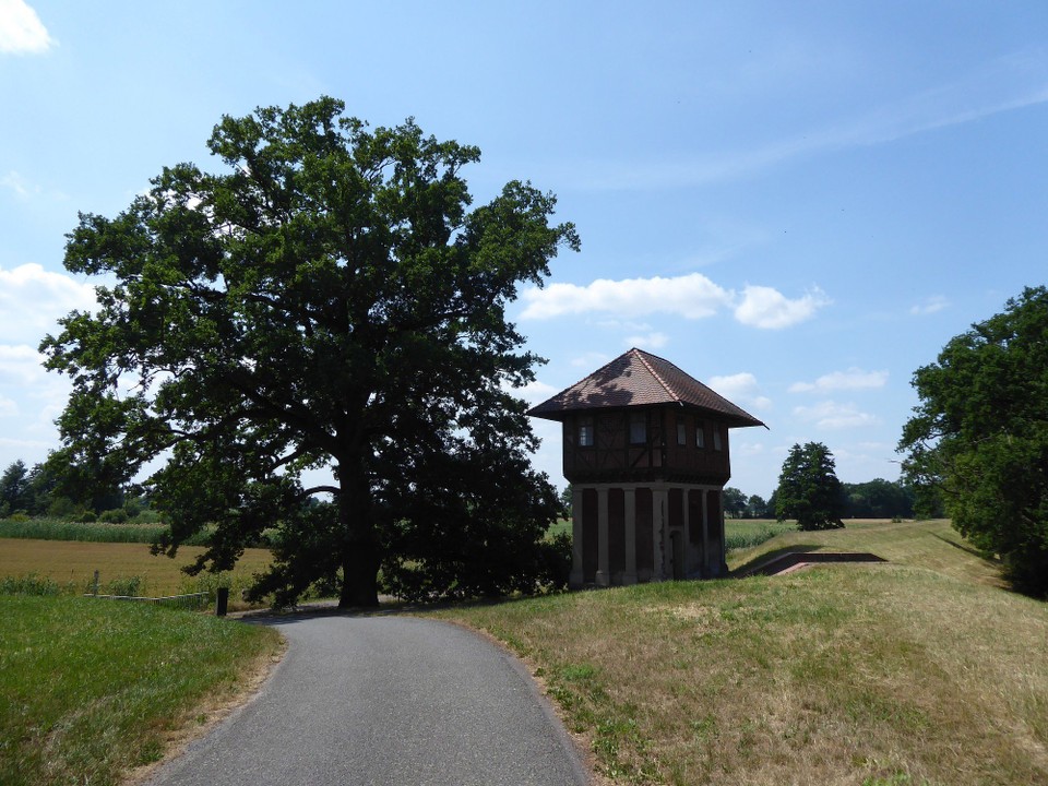 Deutschland - Lutherstadt Wittenberg - Inzwischen war es wieder drückend heiß und entgegen der Vorhersage gab es nicht viele Wolken. Schönheiten am Wegesrand haben mich erfreut, aber ich brauchte Fahrtwind.