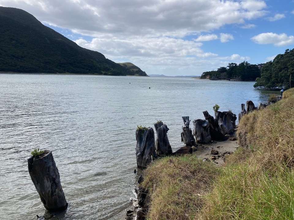 Neuseeland - Te Kao - Lunchtime Houhora Heads mit Blick auf die Karikari Peninsula
