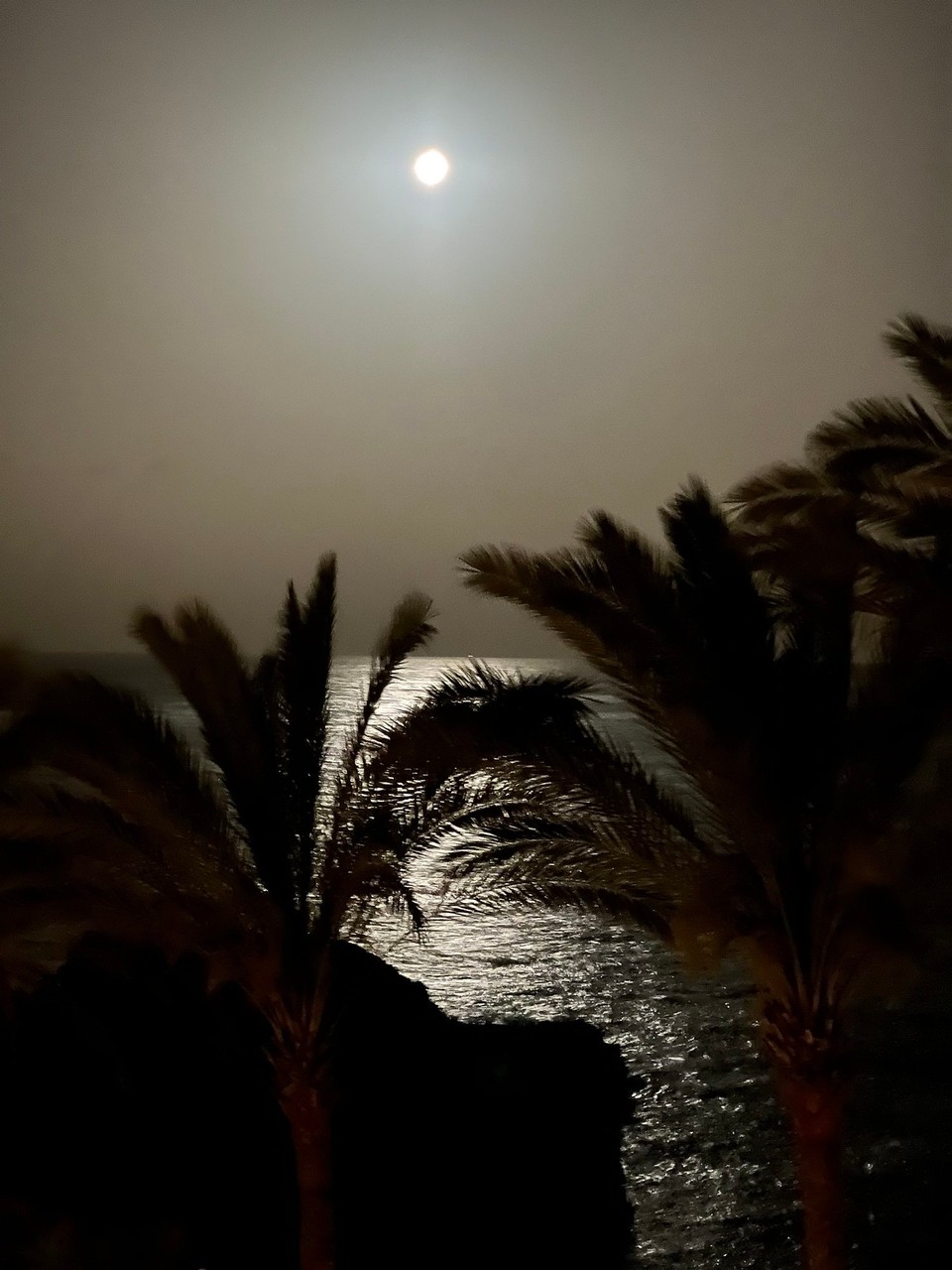Spanien - Adeje - Ein Tag vor dem Vollmond