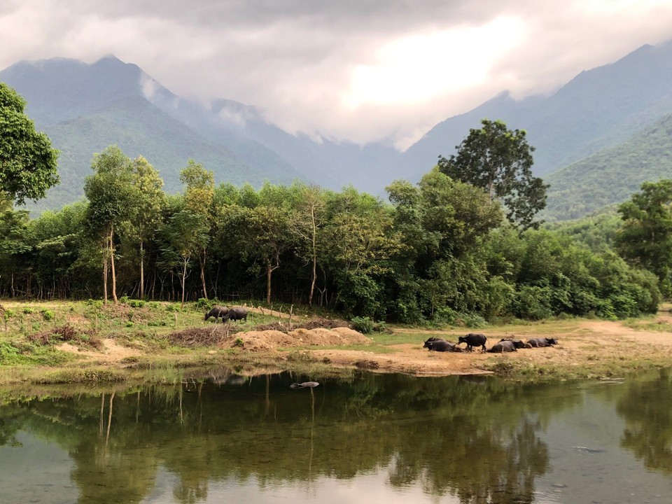 Vietnam - Da Nang - 