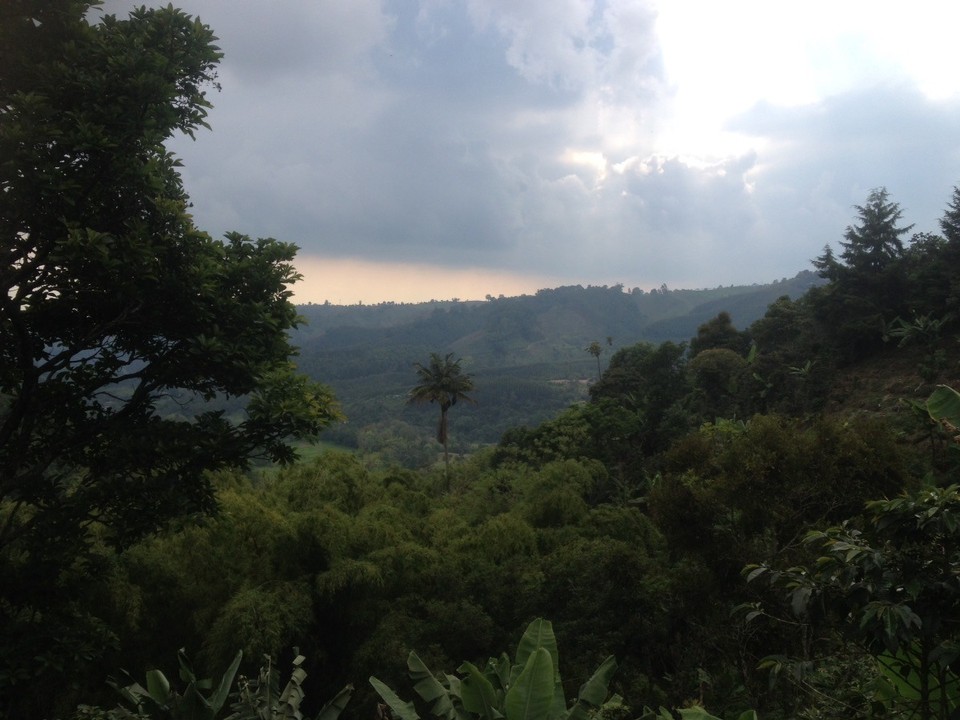 Kolumbien - Salento - 