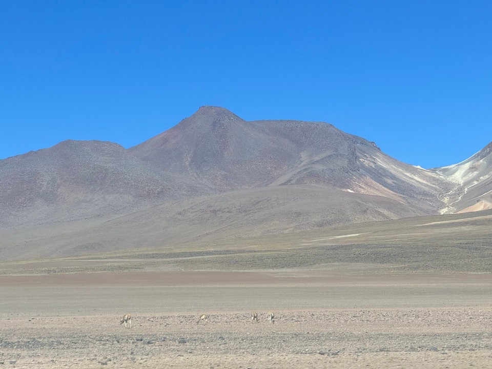 Chile - San Pedro de Atacama - 