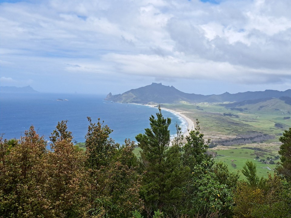 Neuseeland - Whangārei Heads - 