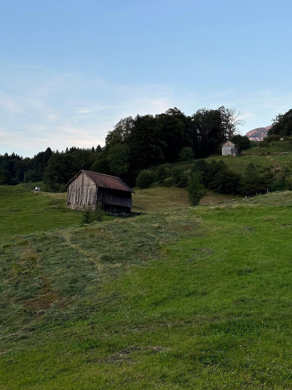 Schweiz - Seelisberg - 