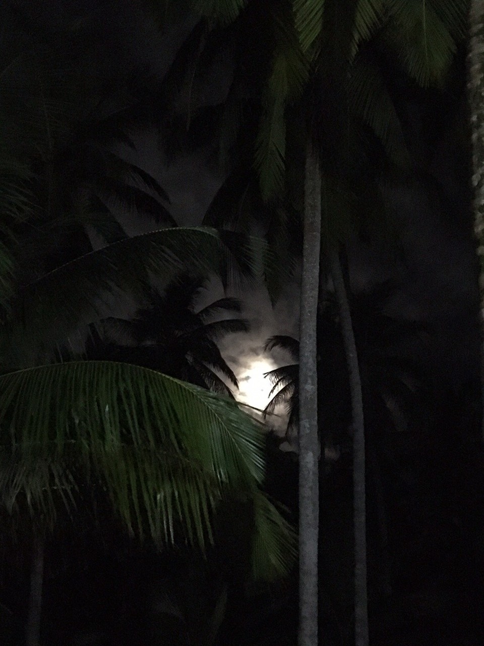  - San Blas, Panamà - 