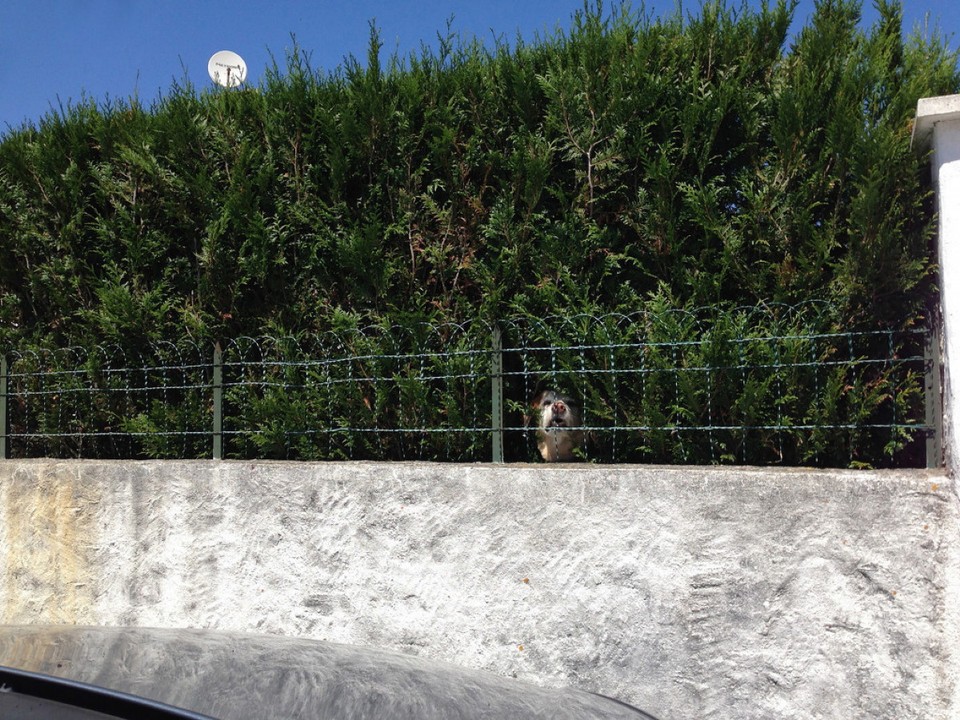 Frankreich - Messanges - 