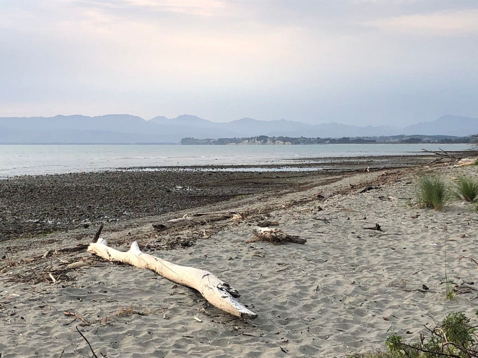 Neuseeland - Upper Moutere - Naturschutzgebiet und Vogelparadies in Motueka. Die Vögel kommen sogar aus Sibirien und Japan. 