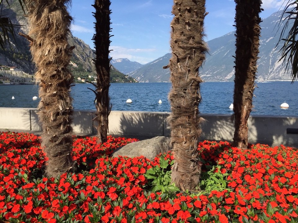 Italy - Limone sul Garda - 