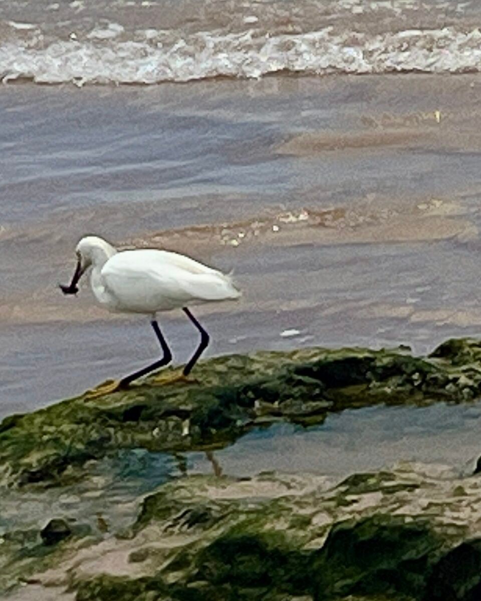 Brasilien - Salvador - 