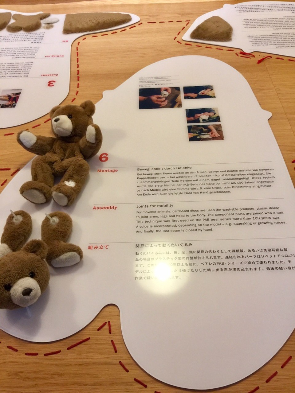  - Germany, Giengen, Margarete Steiff Museum - Richard Steiff observed animals at the zoo to bring more reality into the look of the stuffed animals. Bear 55 PB was the design he launched with the first moveable parts. 