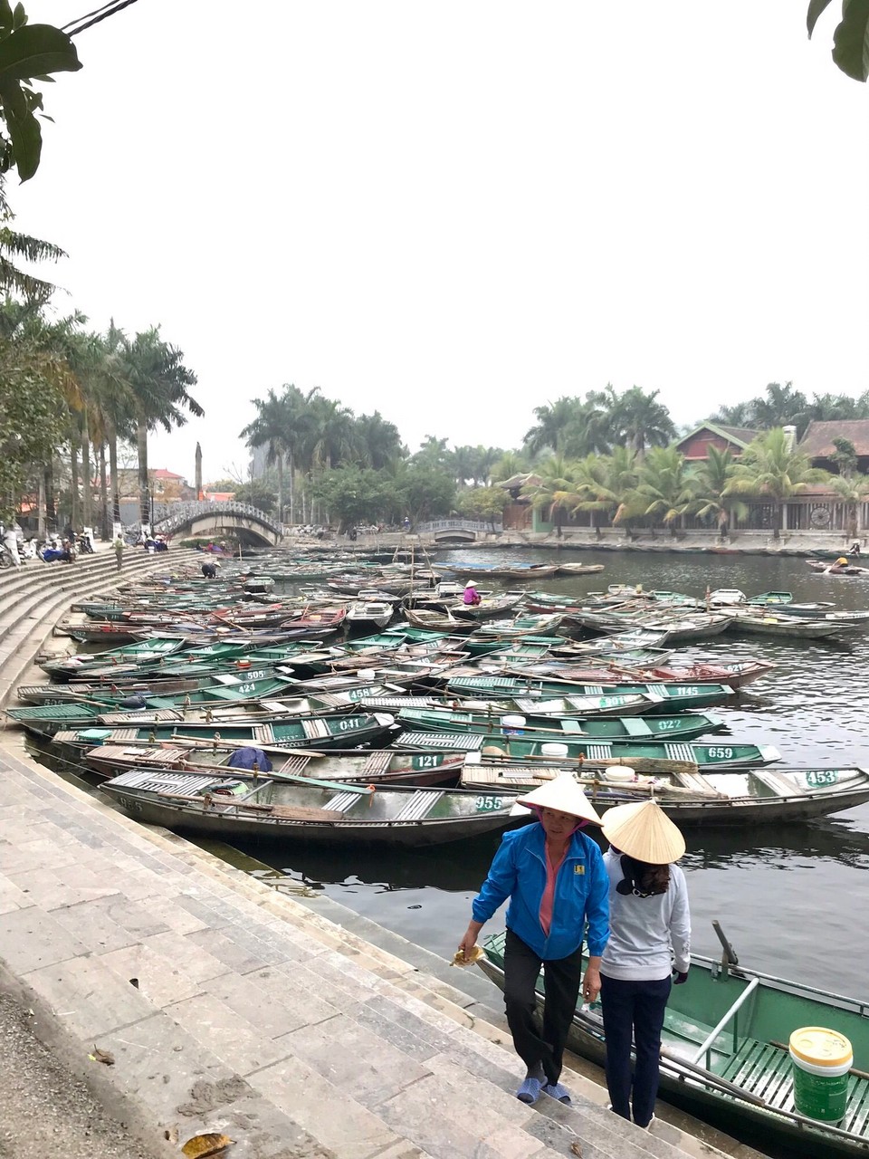 Vietnam - H. Hoa Lư - 
