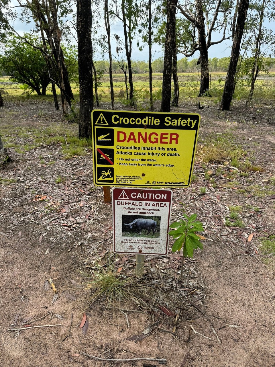 Australien - Kakadu - Es würd jo immr besser... 😂