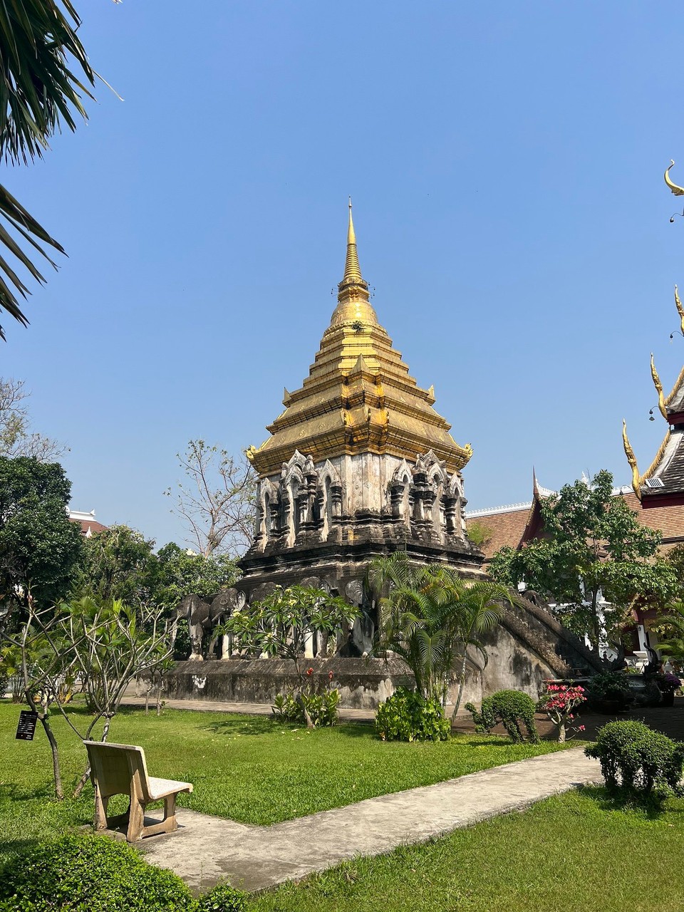 Thailand - Chiang Mai - 