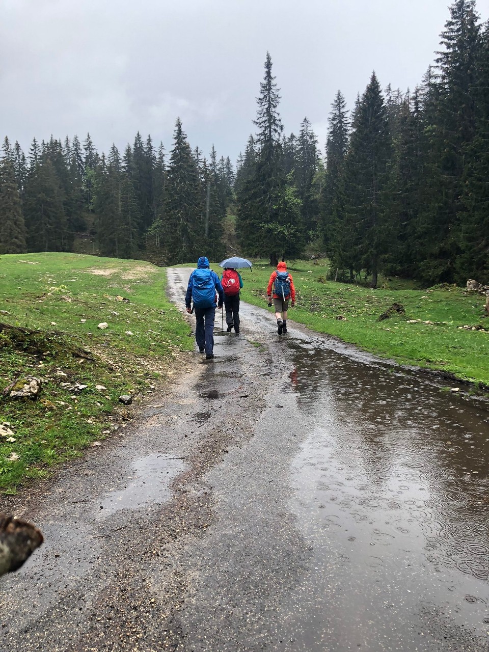 Schweiz - Arzier-Le Muids - .... leider wird das Wetter immer schlechter & wir freuen uns auf den Kafi an der Wärme in der Hütte!